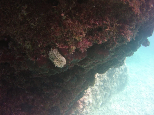 Sea; Publicdomain; Cc0; Freeimage;.jpg