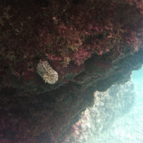 Sea; Publicdomain; Cc0; Freeimage;