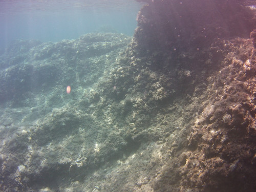 Sea; Publicdomain; Cc0; Freeimage;.jpg