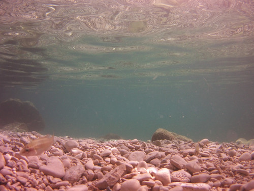 Sea; Publicdomain; Cc0; Freeimage;.jpg