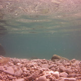 Sea; Publicdomain; Cc0; Freeimage;