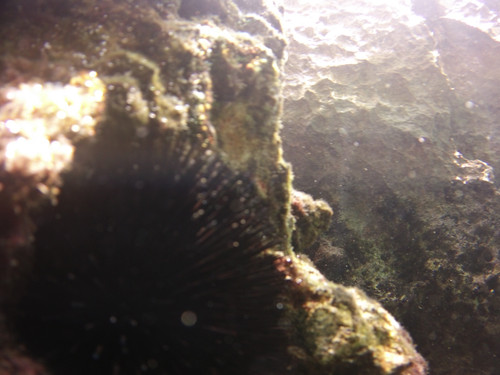 Sea; Publicdomain; Cc0; Freeimage;.jpg