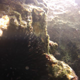 Sea; Publicdomain; Cc0; Freeimage;