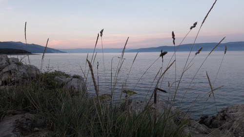 Shore; Publicdomain; Cc0; Freeimage;.jpg