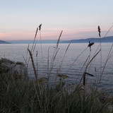 Shore; Publicdomain; Cc0; Freeimage;