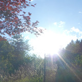 Skies Sun Godray Flare Publicdomain (31)