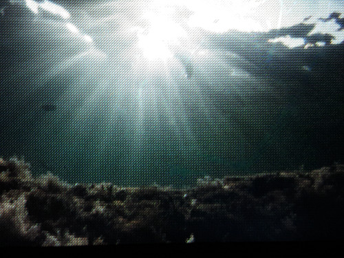 Digital; Publicdomain; Cc0; Freeimage;.jpg