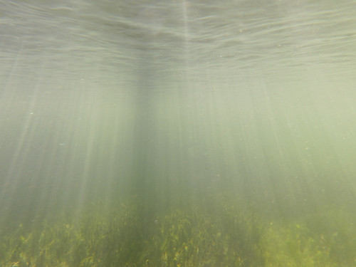 Water; Publicdomain; Cc0; Freeimage;.jpg