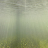 Water; Publicdomain; Cc0; Freeimage;