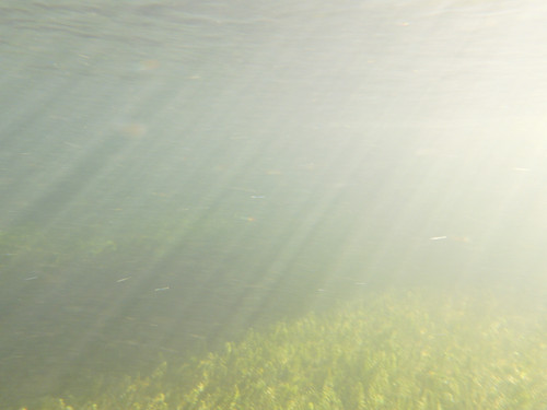 Water; Publicdomain; Cc0; Freeimage;.jpg