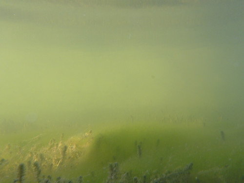 Water; Publicdomain; Cc0; Freeimage;.jpg