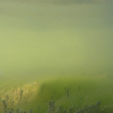 Water; Publicdomain; Cc0; Freeimage;