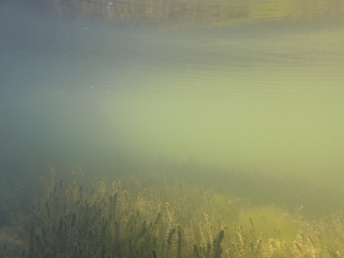 Water; Publicdomain; Cc0; Freeimage;.jpg