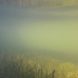 Water; Publicdomain; Cc0; Freeimage;