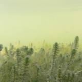 Water; Publicdomain; Cc0; Freeimage;