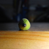 Pencil; Publicdomain; Cc0; Freeimage;