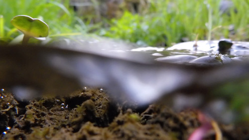 Water; Publicdomain; Cc0; Freeimage;.jpg