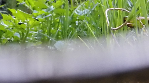 Water; Publicdomain; Cc0; Freeimage;.jpg