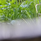 Water; Publicdomain; Cc0; Freeimage;