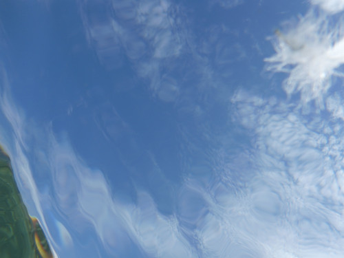 Water; Publicdomain; Cc0; Freeimage;.jpg