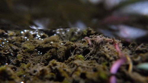 Water; Publicdomain; Cc0; Freeimage;.jpg