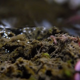 Water; Publicdomain; Cc0; Freeimage;