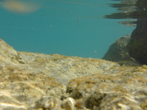 Water; Publicdomain; Cc0; Freeimage;.jpg