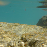 Water; Publicdomain; Cc0; Freeimage;