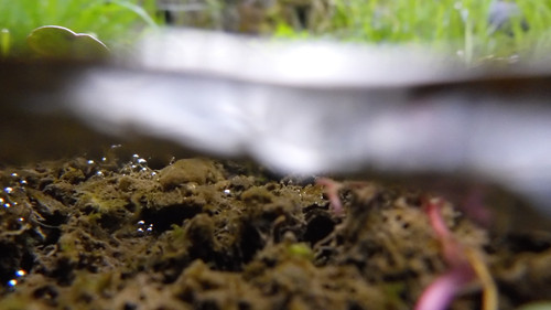 Water; Publicdomain; Cc0; Freeimage;.jpg