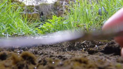 Water; Publicdomain; Cc0; Freeimage;.jpg