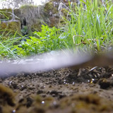 Water; Publicdomain; Cc0; Freeimage;