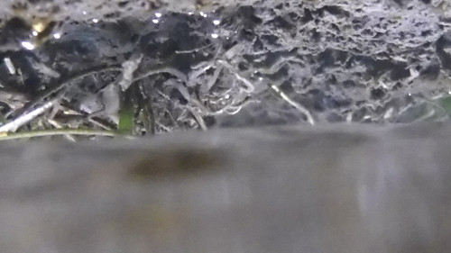 Water; Publicdomain; Cc0; Freeimage;.jpg