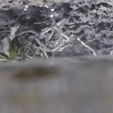 Water; Publicdomain; Cc0; Freeimage;