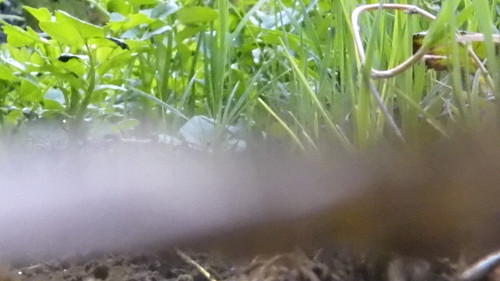 Water; Publicdomain; Cc0; Freeimage;.jpg