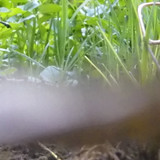 Water; Publicdomain; Cc0; Freeimage;