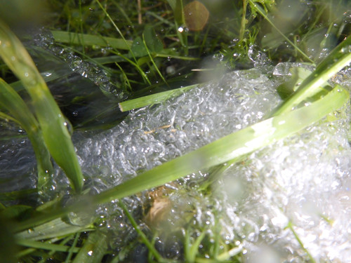 Water; Publicdomain; Cc0; Freeimage;.jpg