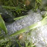 Water; Publicdomain; Cc0; Freeimage;