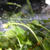 Water; Publicdomain; Cc0; Freeimage;