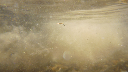 Water; Publicdomain; Cc0; Freeimage;.jpg