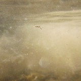 Water; Publicdomain; Cc0; Freeimage;