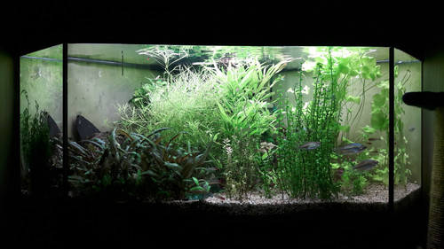 Water; Publicdomain; Cc0; Freeimage;.jpg