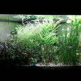 Water; Publicdomain; Cc0; Freeimage;