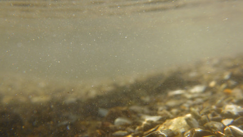 Water; Publicdomain; Cc0; Freeimage;.jpg