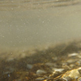 Water; Publicdomain; Cc0; Freeimage;