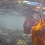 Water; Publicdomain; Cc0; Freeimage;