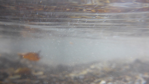 Water; Publicdomain; Cc0; Freeimage;.jpg