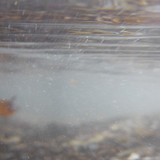 Water; Publicdomain; Cc0; Freeimage;