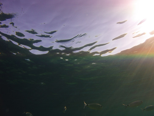 Water; Publicdomain; Cc0; Freeimage;.jpg