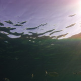 Water; Publicdomain; Cc0; Freeimage;