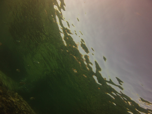 Water; Publicdomain; Cc0; Freeimage;.jpg